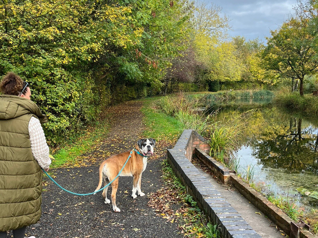 The Mooring Post主图