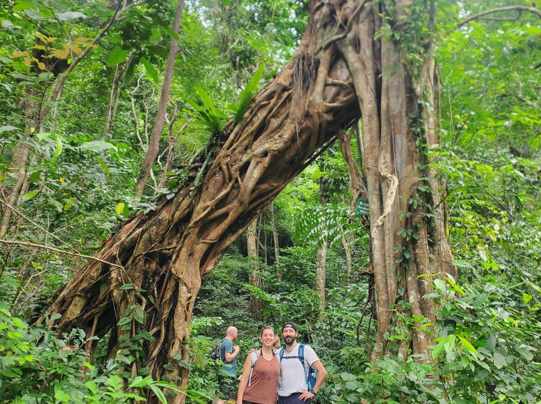 Cat Ba Kayak Adventures-下龙湾必去景点