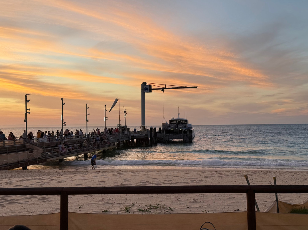 Tangalooma Wild Dolphin Feeding Program-天阁露玛必去景点