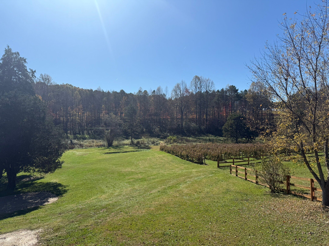 Odom Springs Vineyards-Blairsville必去景点
