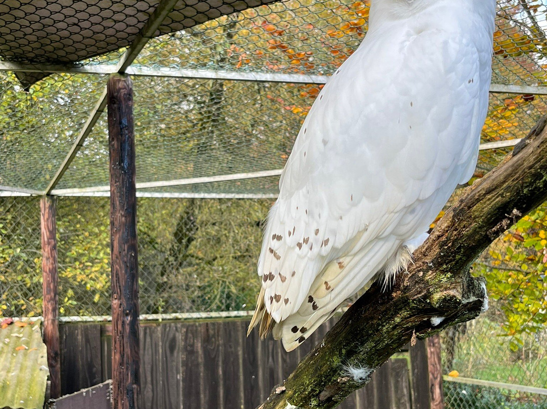 Le Jardin des Hiboux-Bievre必去景点