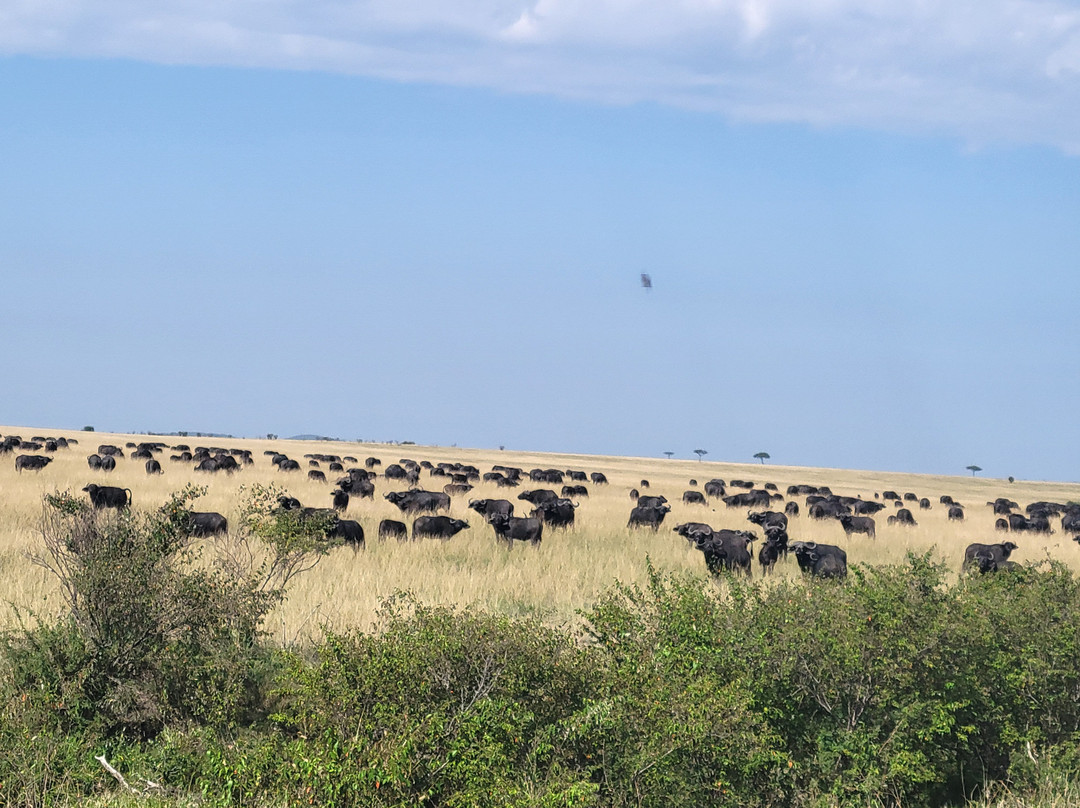 The Olmalaika Trust-Sekenani必去景点