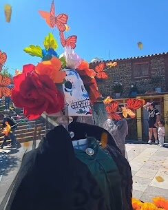 Santuario de las Luciérnagas - Bosque Mágico-Tlaxcala必去景点