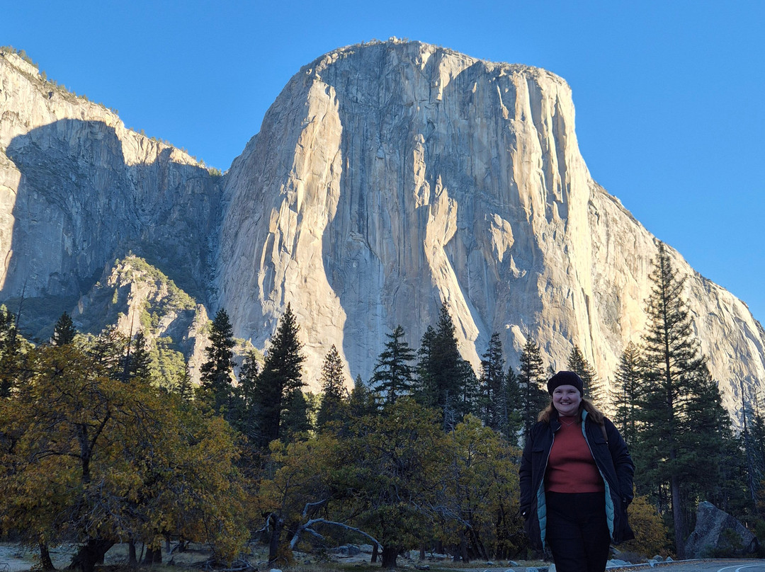 City Tours Usa-纽约市必去景点