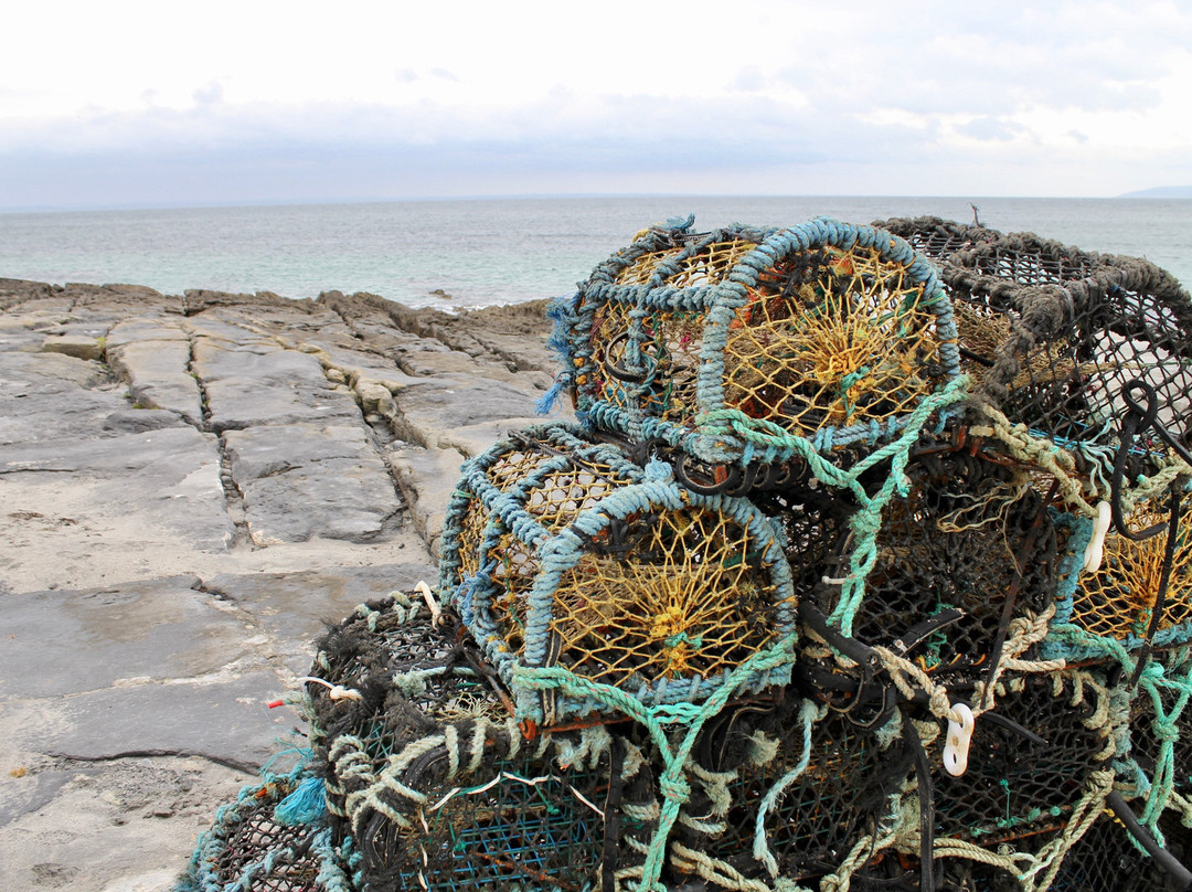 Wanderly Wagon-Inisheer必去景点