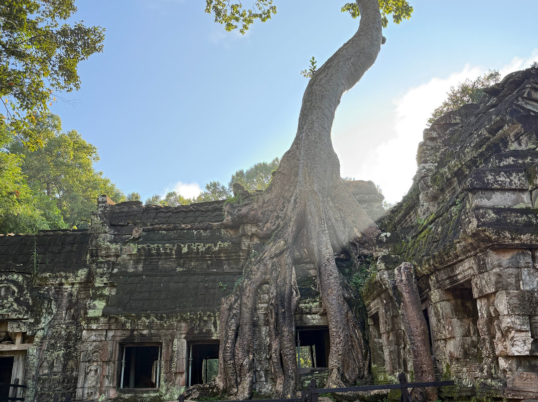 Trusty Tuk Tuk-暹粒必去景点