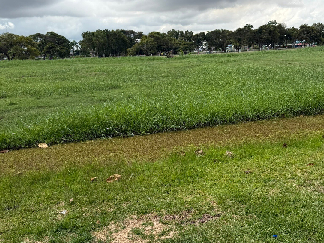Guyana National Park-乔治城必去景点