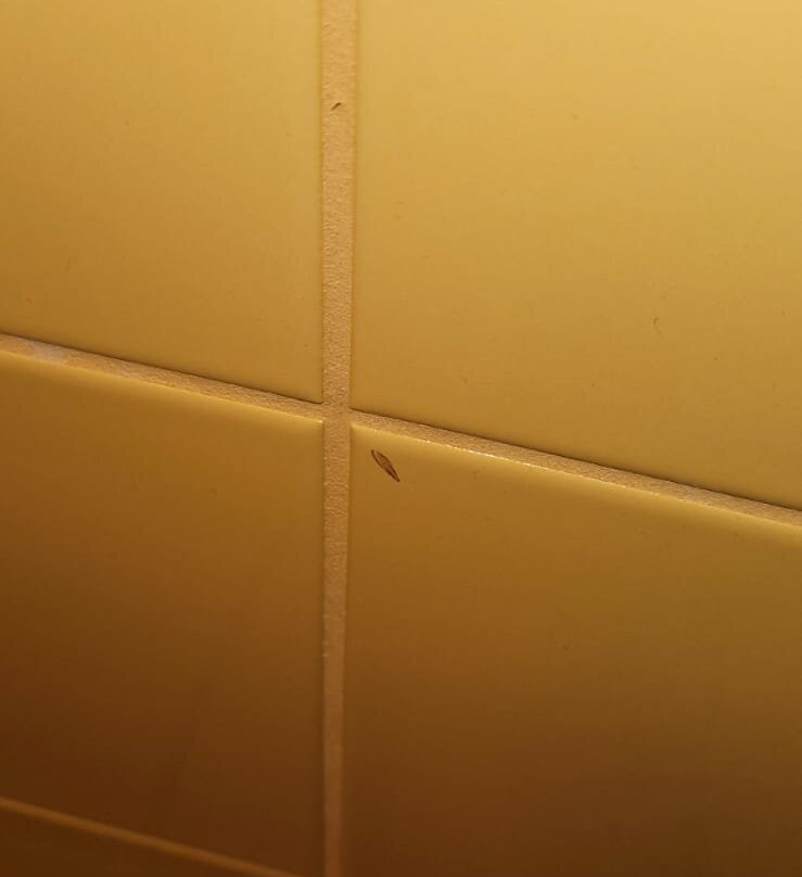 Kloster By B_smart主图