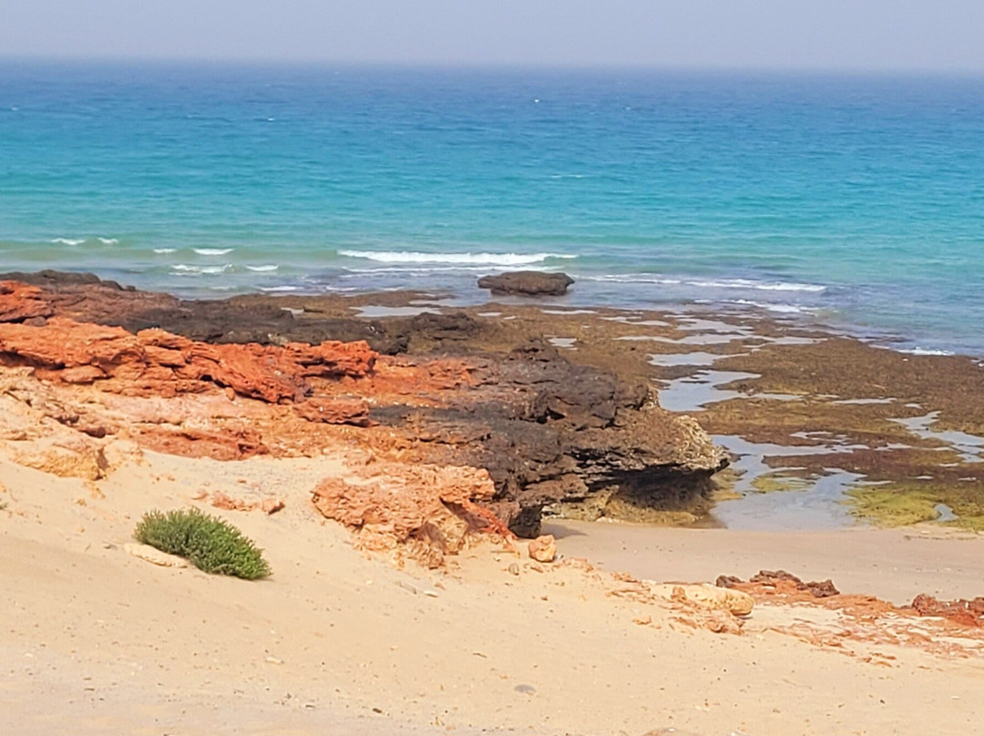 Al Sifah Beach-马斯喀特必去景点