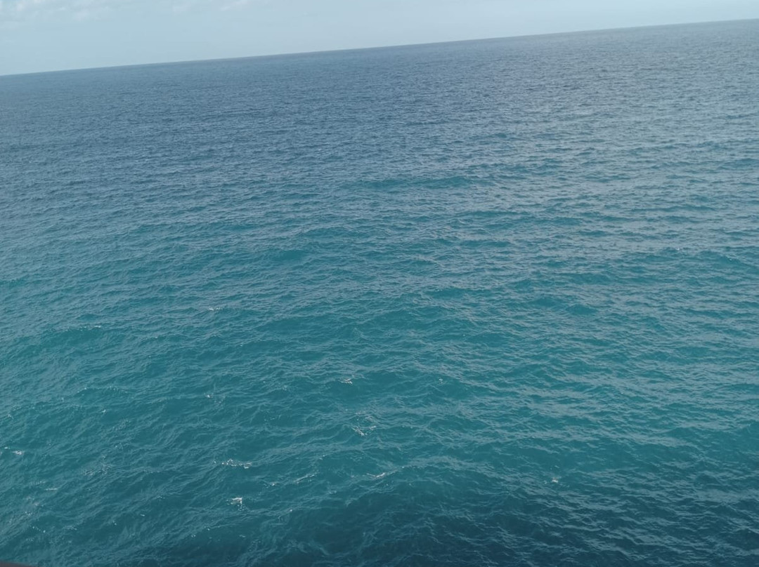 Balconata Vico Gualdella-波利尼亚诺阿马雷必去景点