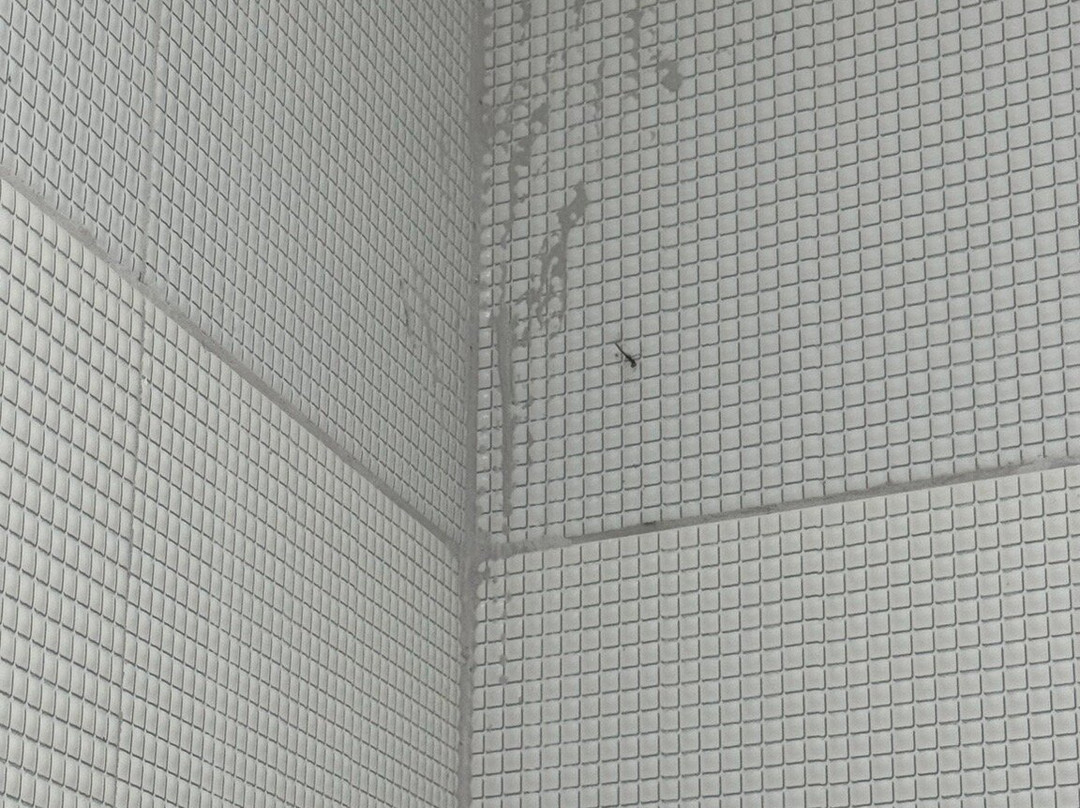 Pousada Jirituba主图