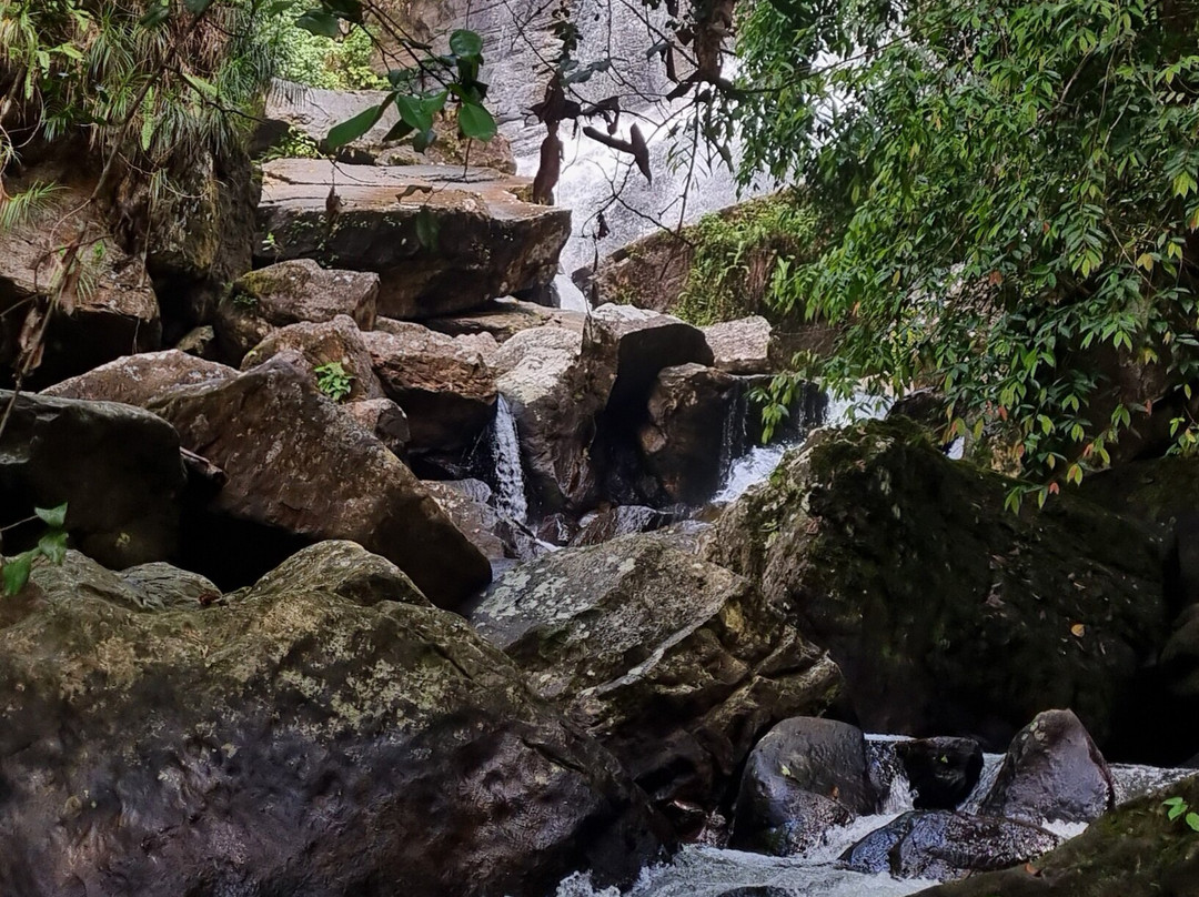 Sinharaja Forest Edge主图