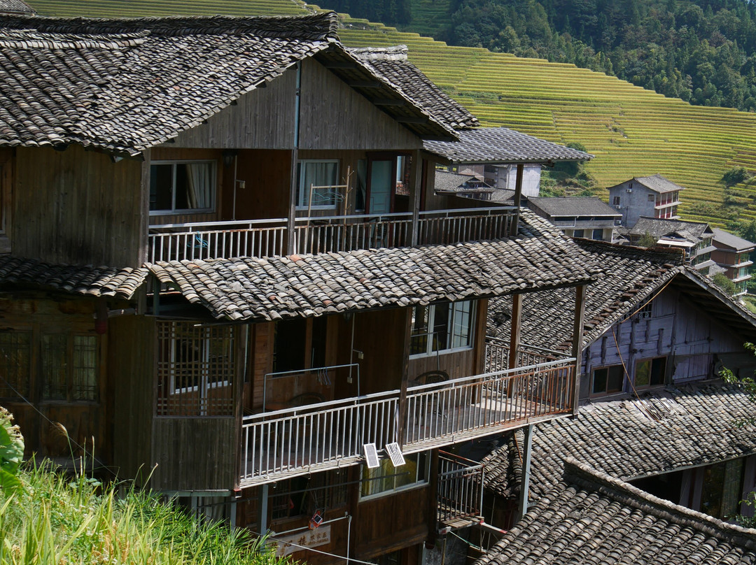 Longji Rice Terraces-桂林市必去景点