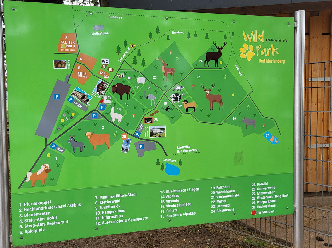 Wildpark-巴德马林贝尔格必去景点