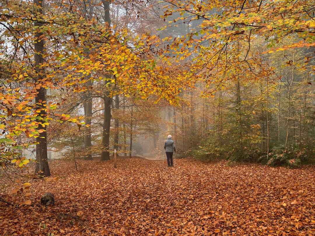 弗莱彻酒店主图