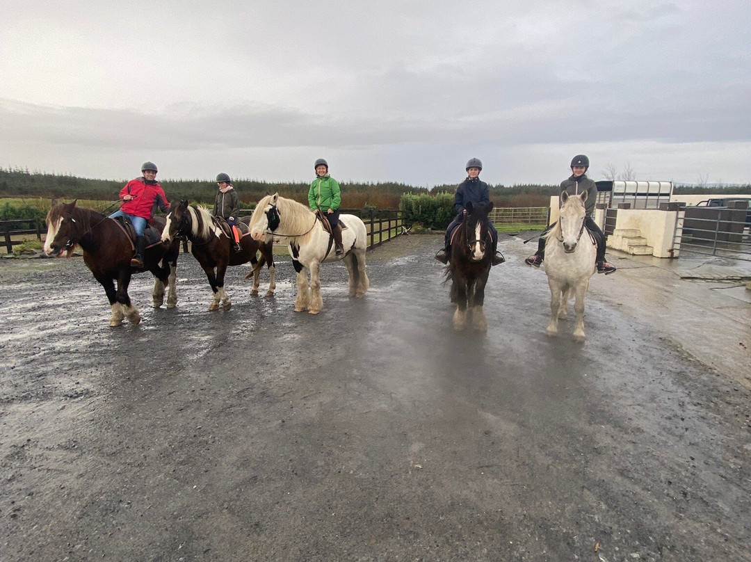 Mountain View Horse Riding Centre-Lisdoonvarna必去景点