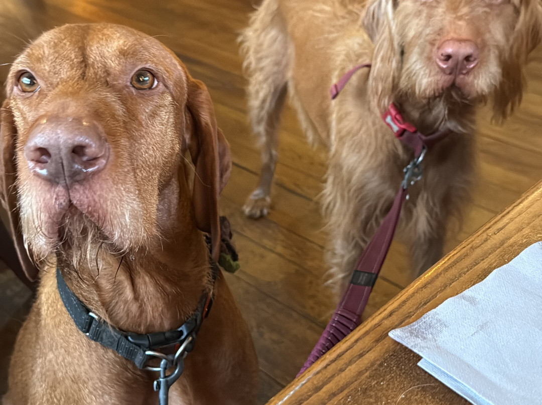 The Feathers Hotel主图