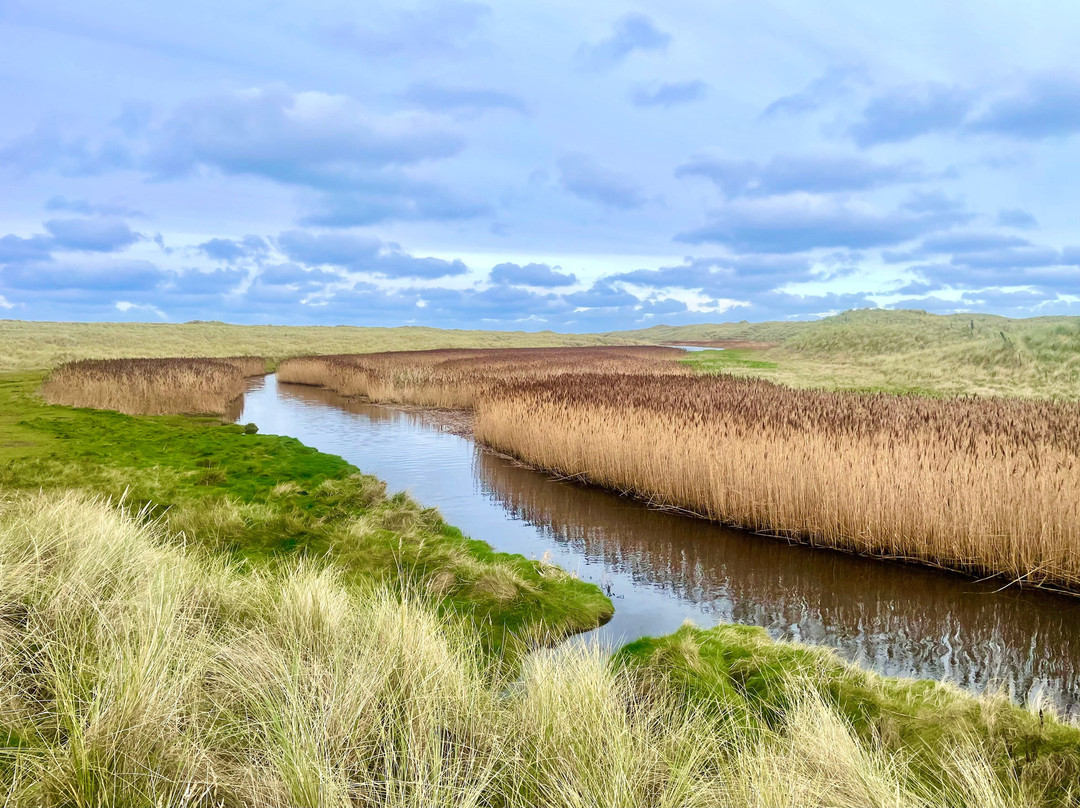 Waters of Philorth local nature reserve-Fraserburgh必去景点