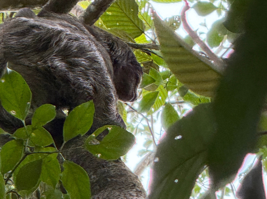 Maleku Tours-利比里亚必去景点