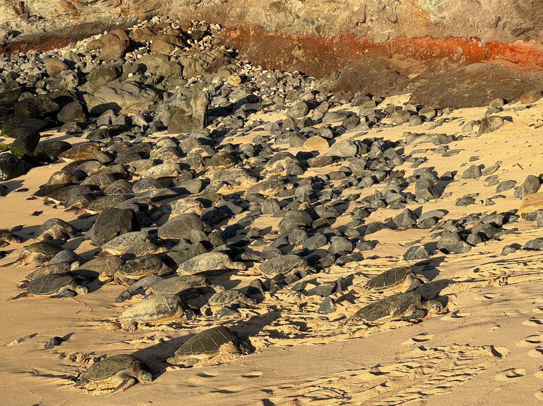 Hawaii Tours-火奴鲁鲁必去景点