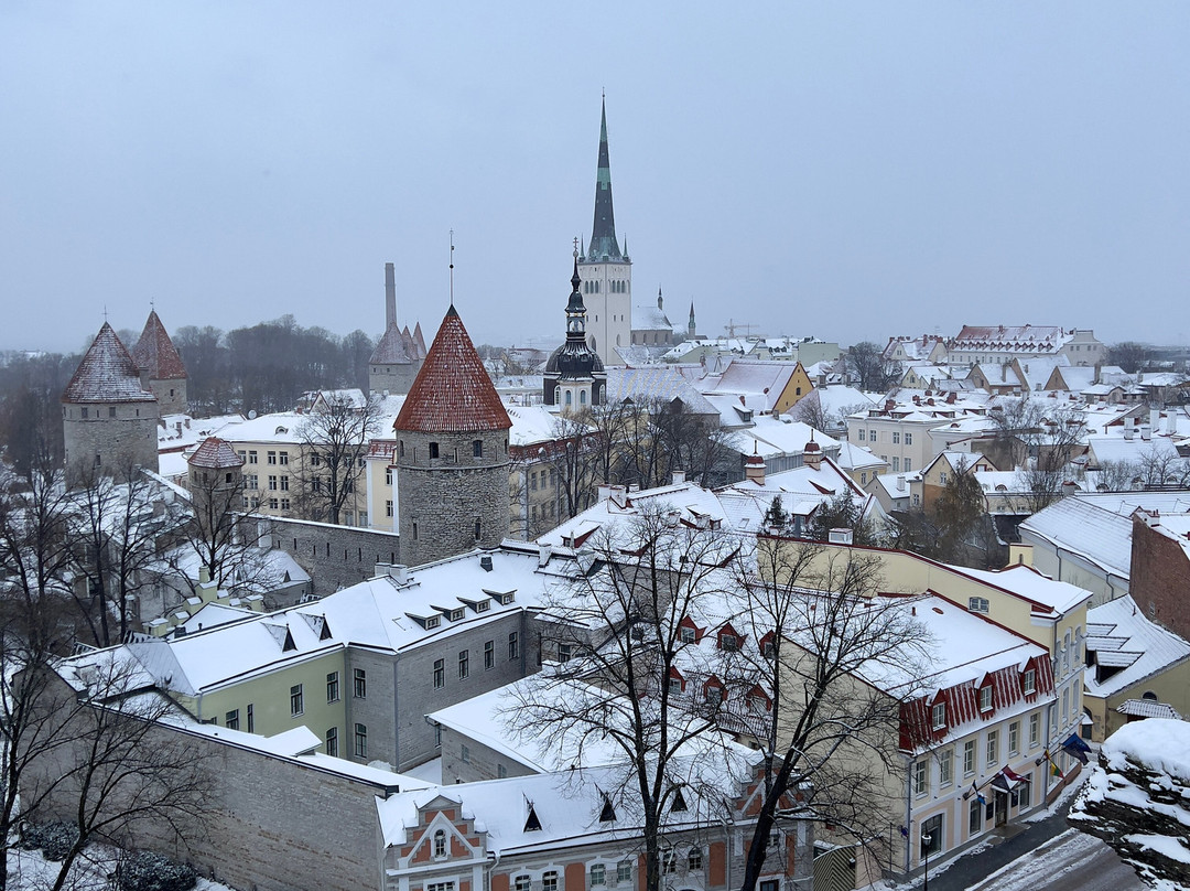 Travelling Capybaras-塔林必去景点