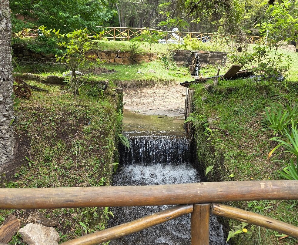 Parque Estadual Campos do Jordao-坎普斯－杜若尔当必去景点