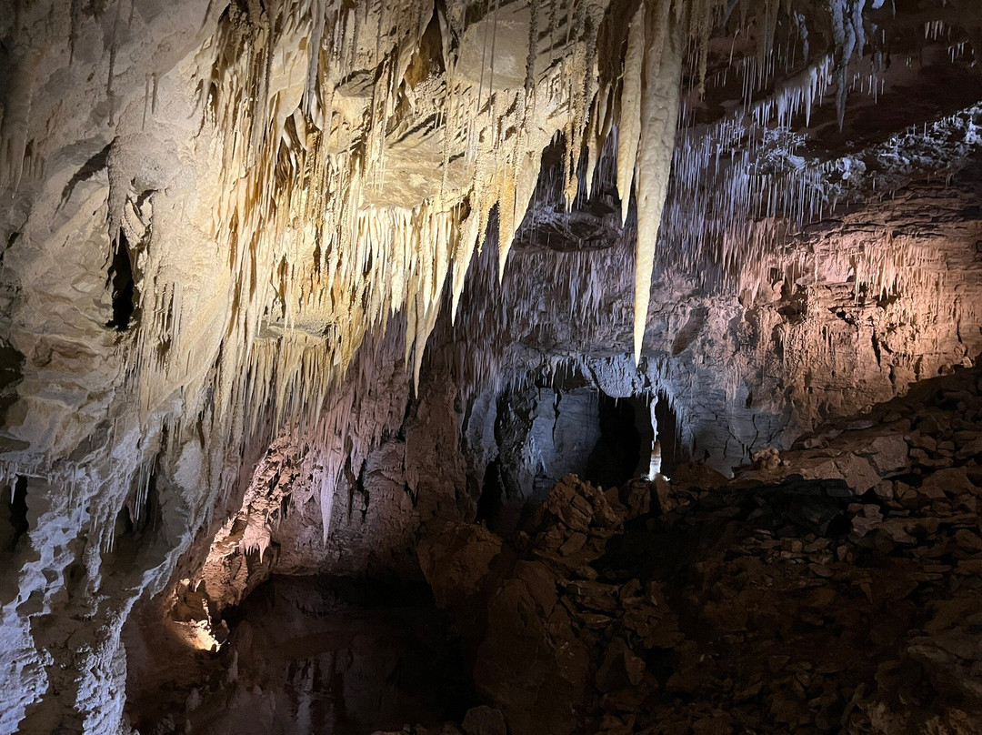 Ruakuri Cave-怀托摩洞穴必去景点