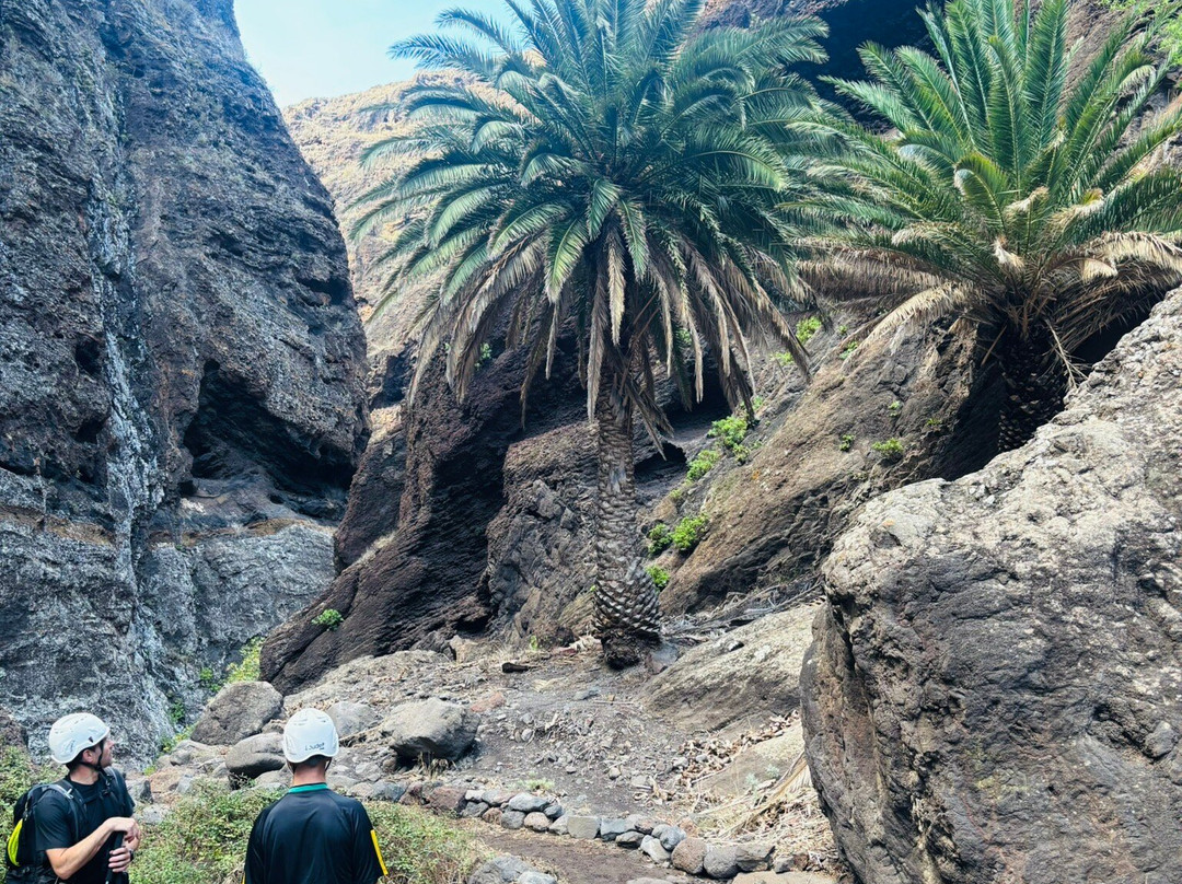 Canarias Nature Guides-Tegueste必去景点