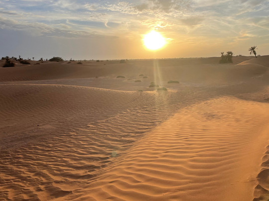 Sahara Surprise-迈哈米德必去景点