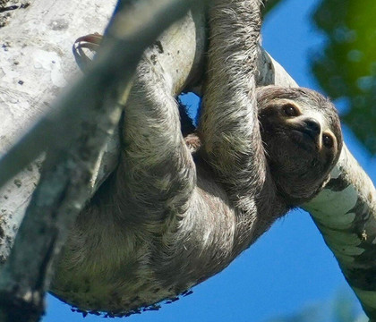 Aludi Travel-马丘比丘必去景点