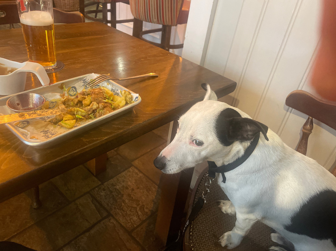 Fat Willy's Pub & Grub