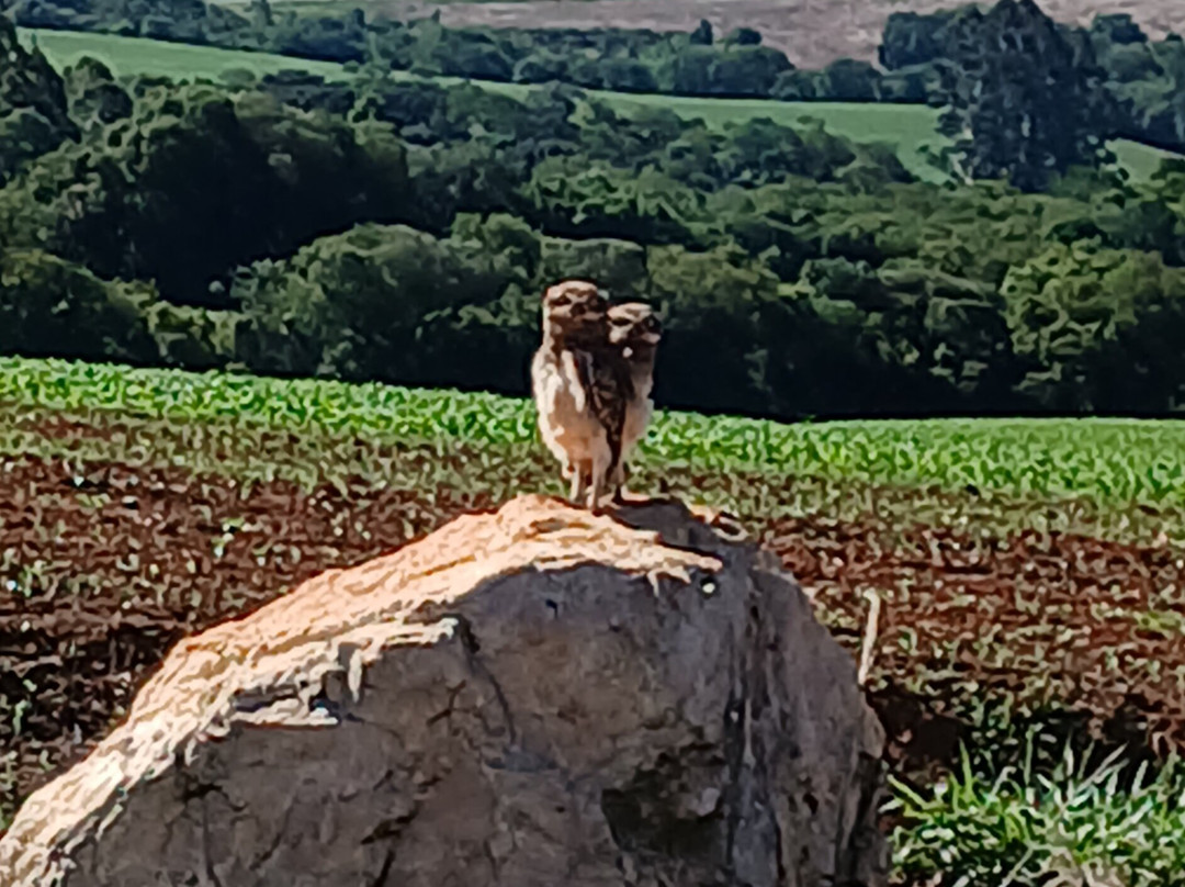 Caçadores de Aventuras Ecoturismo-Jaguariaiva必去景点