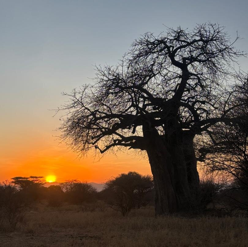 Kiliholidays Tours And Safaris-阿鲁沙必去景点