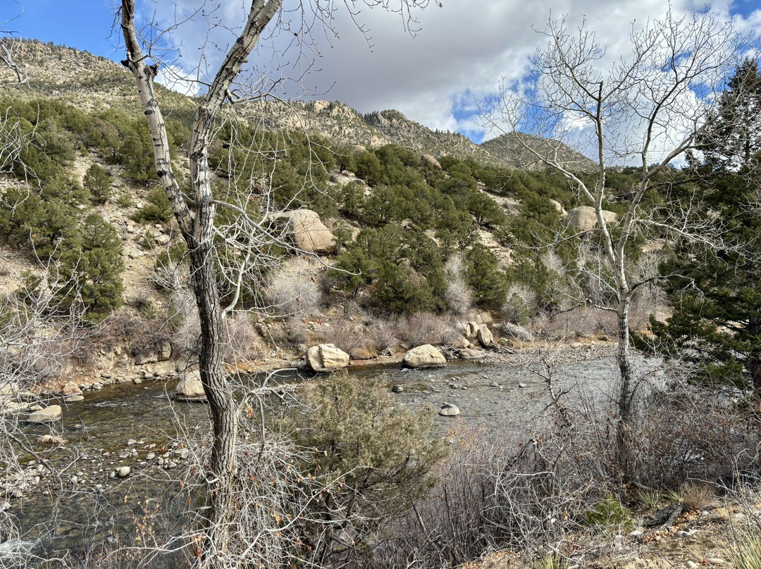 Buena Vista River Park-布埃纳维斯塔必去景点