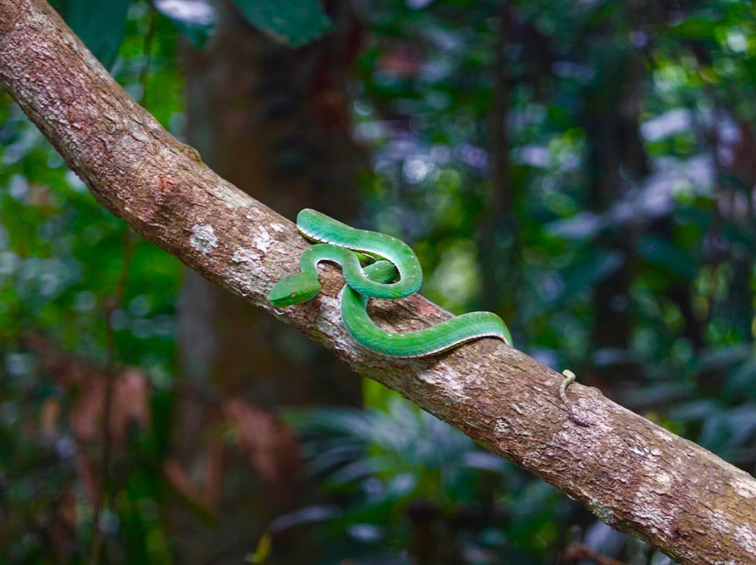 Khoa Yai and Beyond-考艾国家公园必去景点