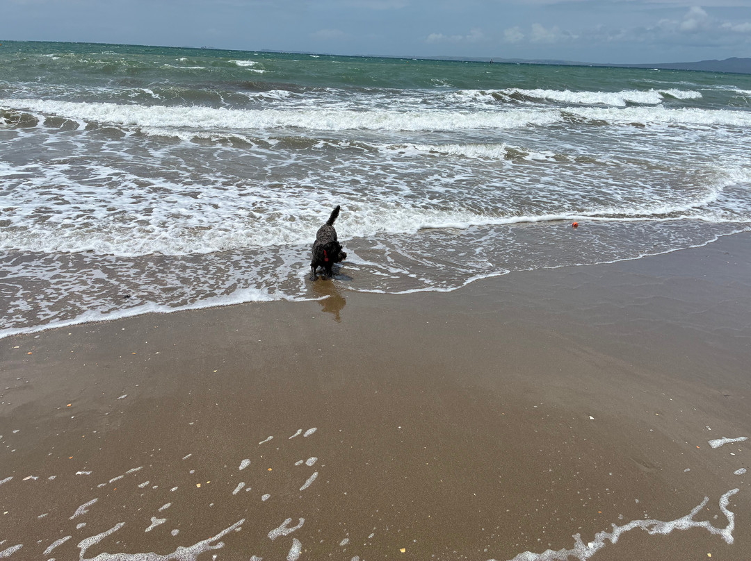 Browns Bay Beach-布朗斯湾必去景点