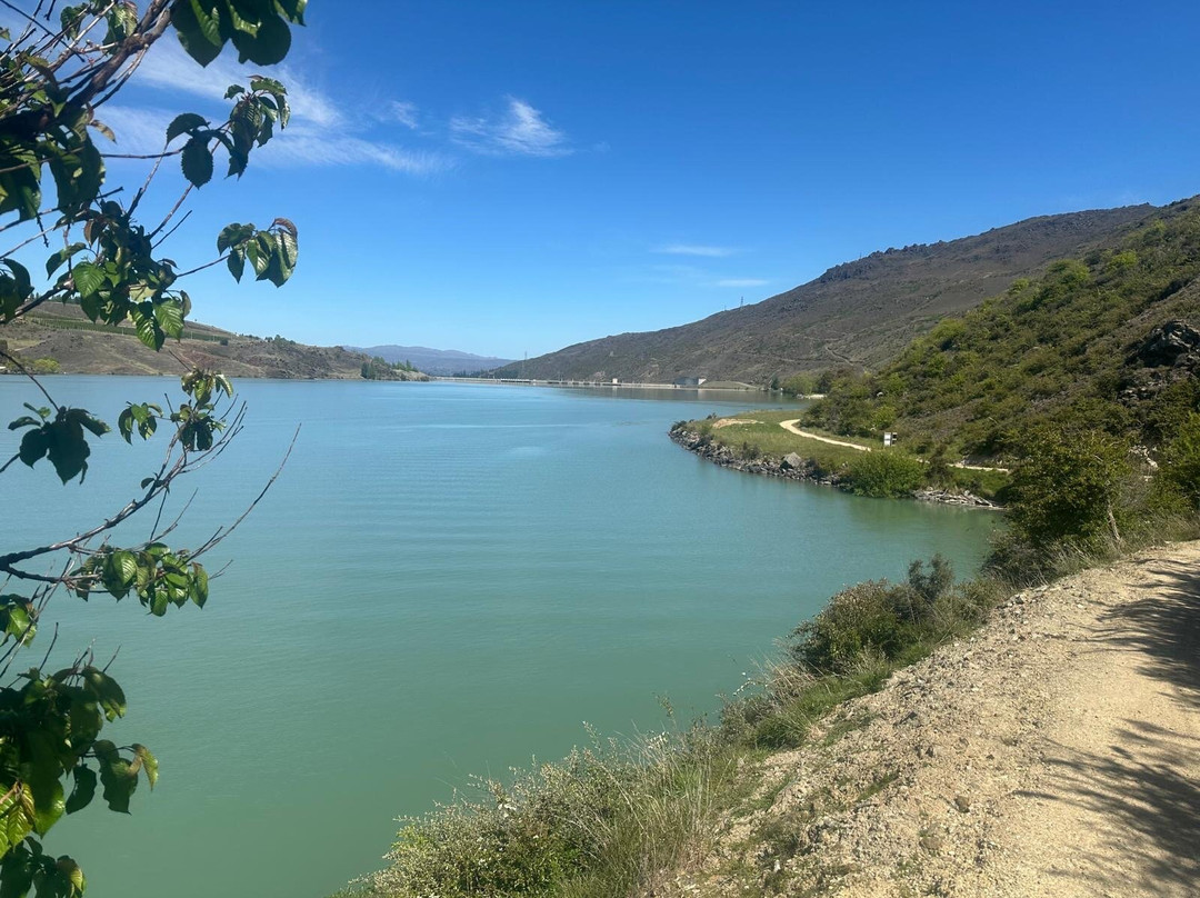 Lake Dunstan Trail