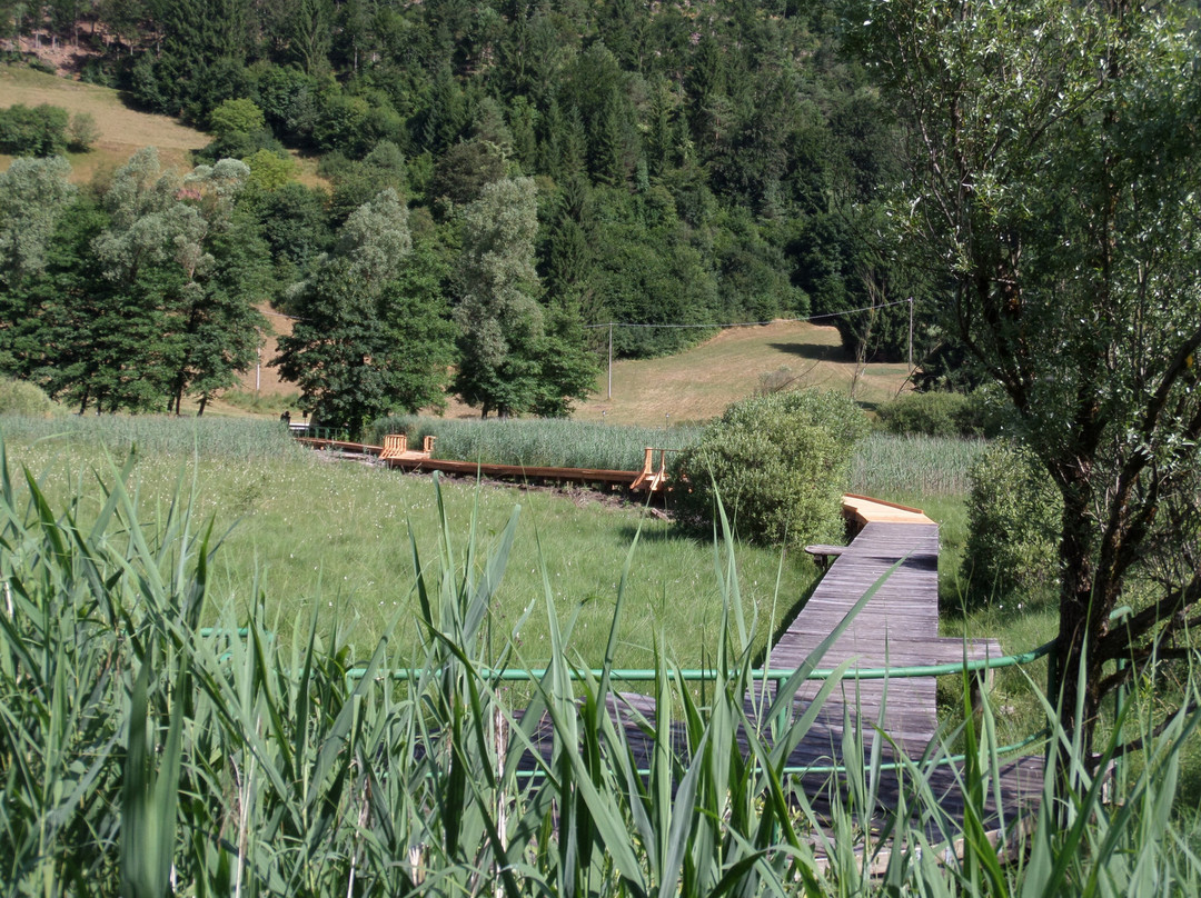Lago d'Ampola-Tiarno di Sopra必去景点