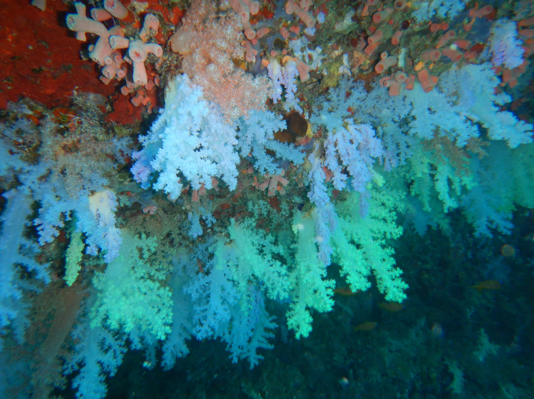 Himmafushi Scuba Adventure-Himmafushi Island必去景点