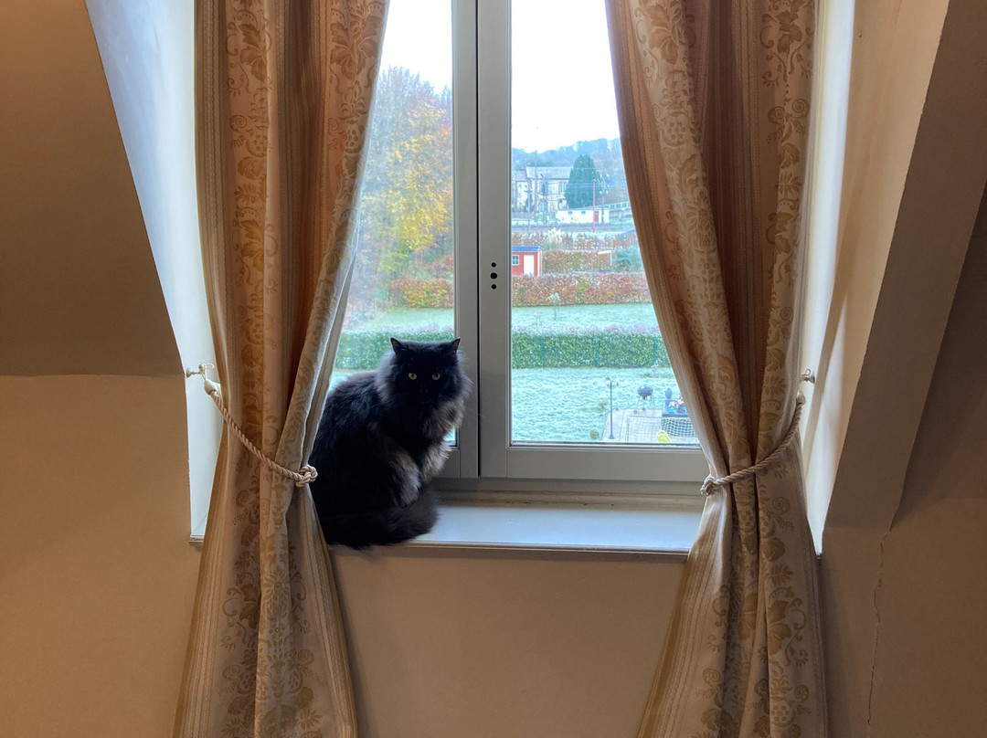 L'Orangerie Salle De Réception Et Chambres D’hôtes主图