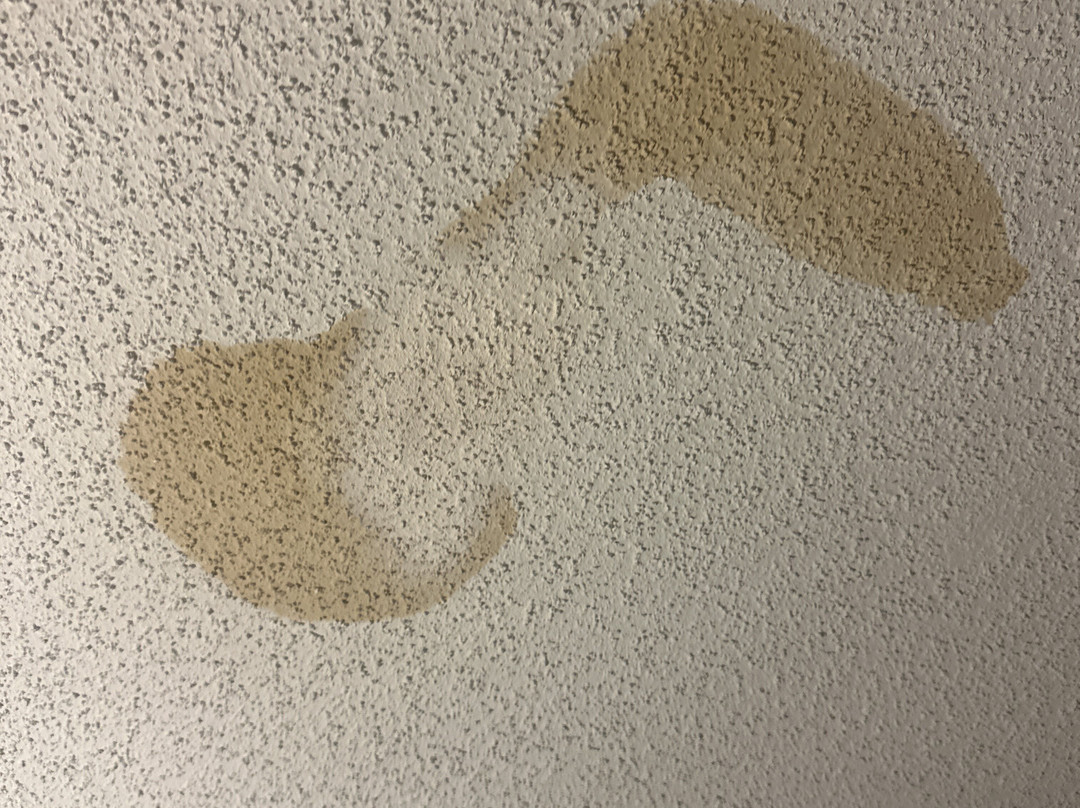 Sonesta Select Atlanta Norcross I-85主图