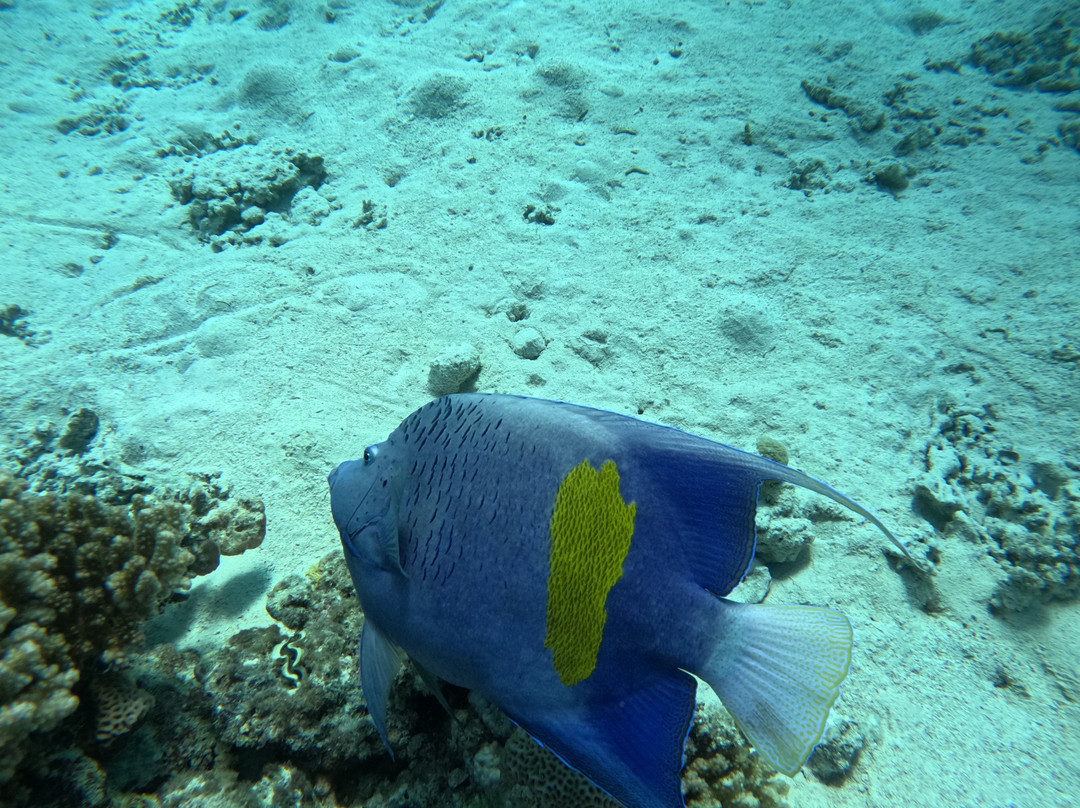 Erlebnis Ägypten-Safaga必去景点