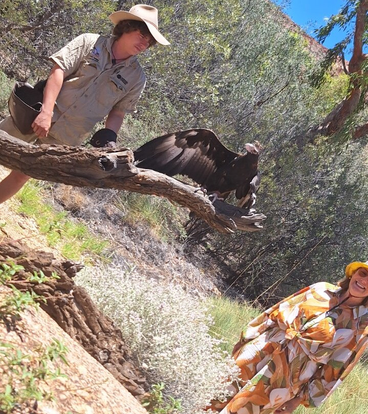 Alice Springs Desert Park-爱丽斯泉必去景点