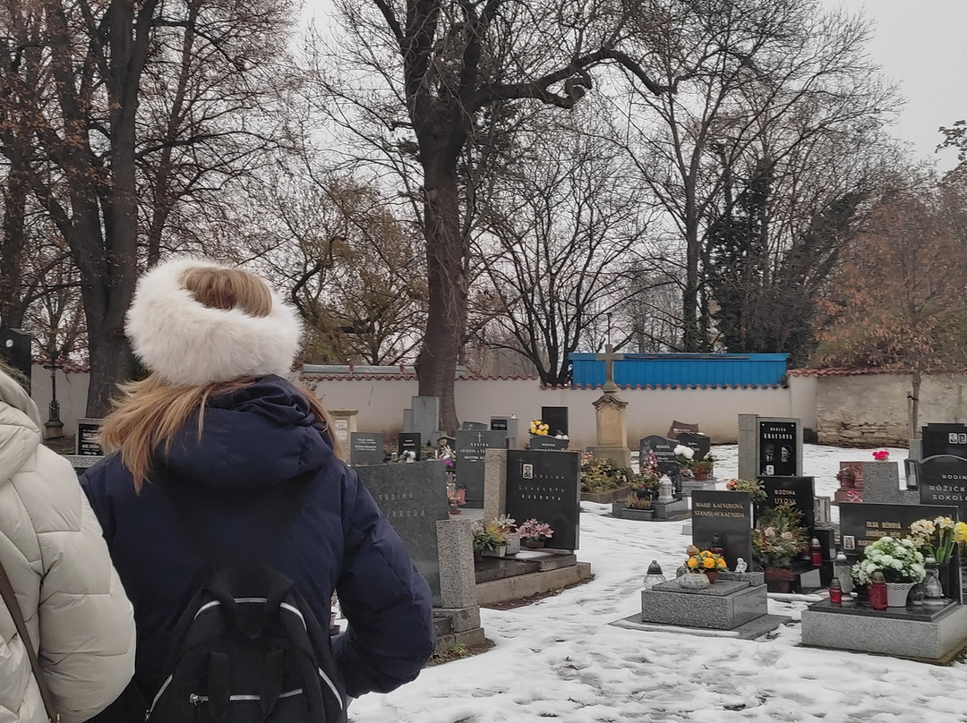 Traviatour-布拉格必去景点