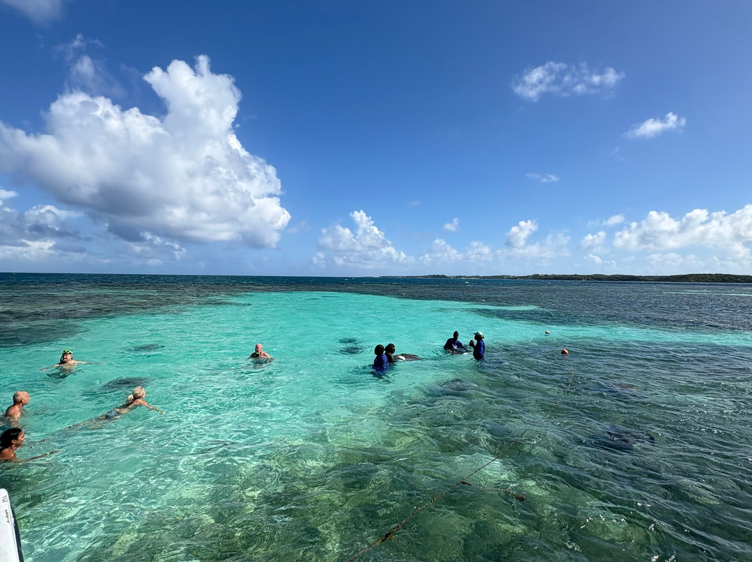 Antigua Rainforest Canopy Tour-安提瓜必去景点