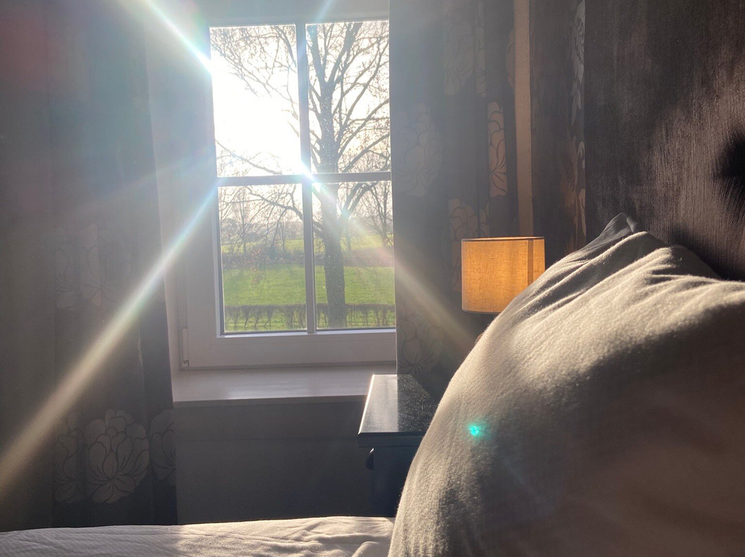 Havezathe Carpe Diem主图