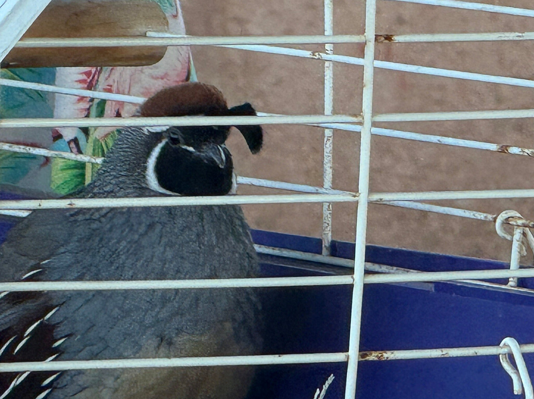 The Gateway Trailhead-斯科茨代尔必去景点