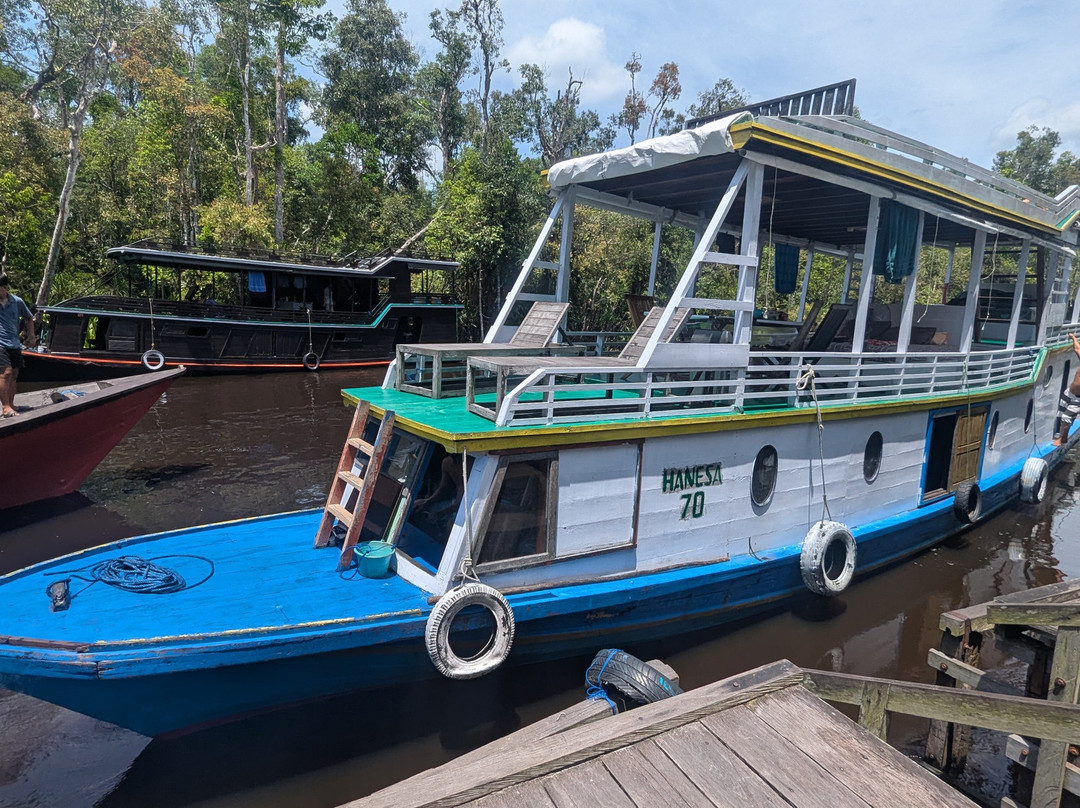 Local Guides - Tanjung Puting-Pangkalan Bun必去景点