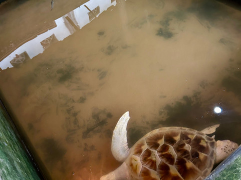 Sam Tours Sri Lanka-卡卢特勒必去景点