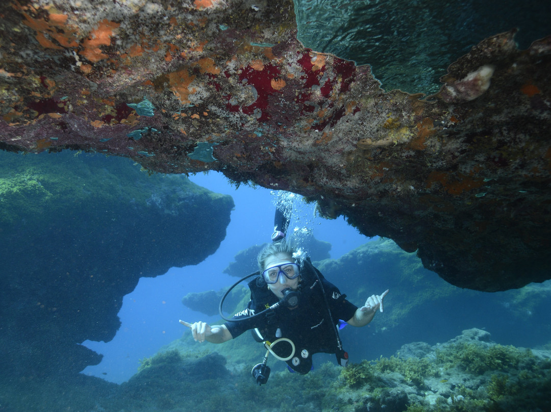 Atlantis Divers-费尔南多-迪诺罗尼亚群岛必去景点